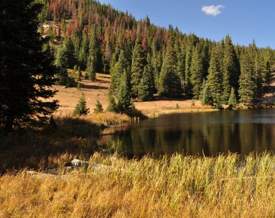 WHCC Lake Irene Mod 1.jpg