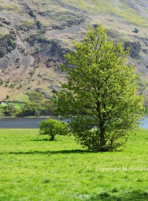 Lake District 32.jpg