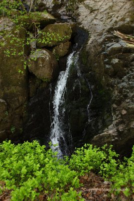 Lake District 39.jpg