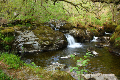 Lake District 41.jpg