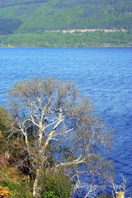 Loch Ness9.jpg