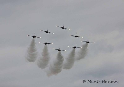 ROKAF Black Eagles 9.jpg