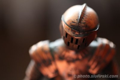 Bronze knight