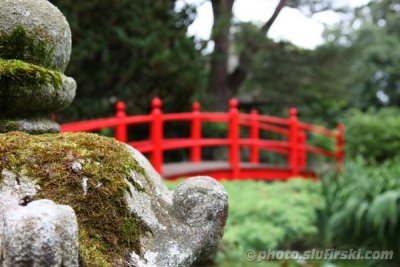 Japanese Gardens - Ireland