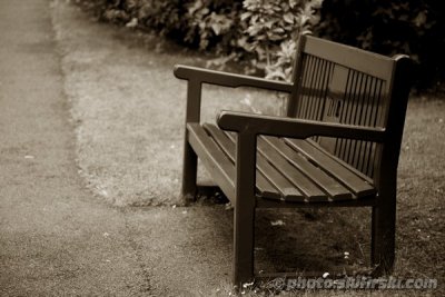A bench in Japanese Gardens, Ireland
