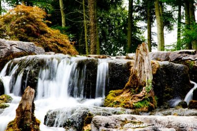 Waterfall in Japanese Gardens - Ireland