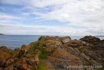 Coastal view - Ireland