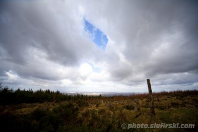 Woods of Dublin, Ireland - wide angle experience