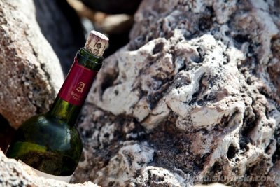 Bottle of wine on the rocks