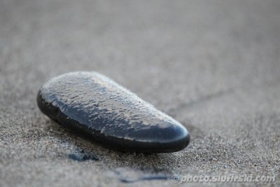 Wet stone on a beach