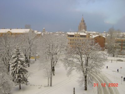 82.jpg