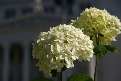 10.07.2011