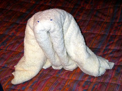 CARNIVAL INSPIRATION Towel Animal