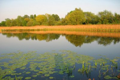 England - Staffordshire - Burton on Trent - Branston Water Park