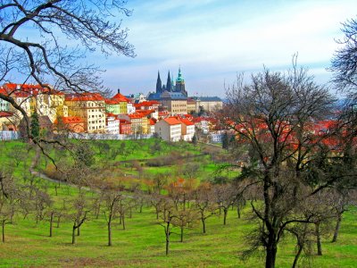 Czech Republic - Prague, -Prazsky hrad Prague Castle from Petrin Park