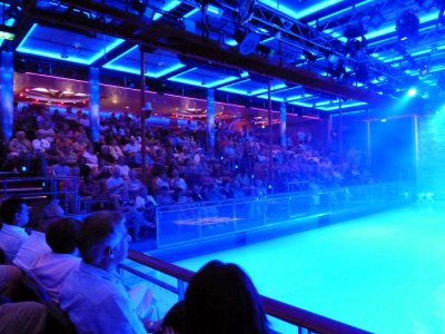 INDEPENDANCE OF THE SEAS Ice Show