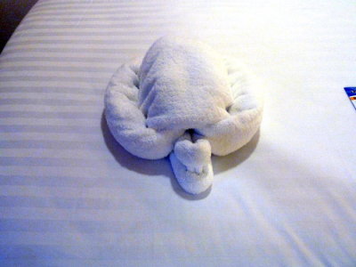 INDEPENDANCE OF THE SEAS Towel Animal