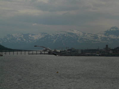 Tromso - Sailaway