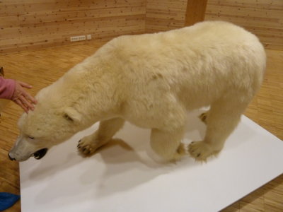 Spitzbergen - Longyearbarden Museum