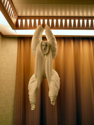 FREEDOM Towel animal in our Cabin