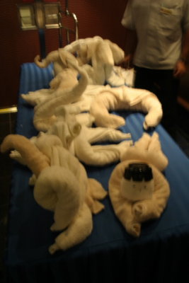 Towel Folding Display