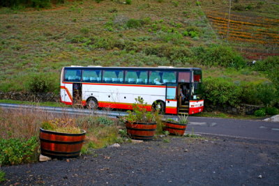 SPAIN - LA PALMA - San Antonia - Tour Bus at Bodegas Garballo Winery