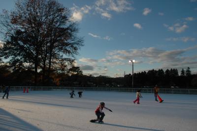 Roosevelt Ice Rink