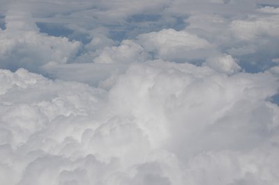 DSC_4817.JPG