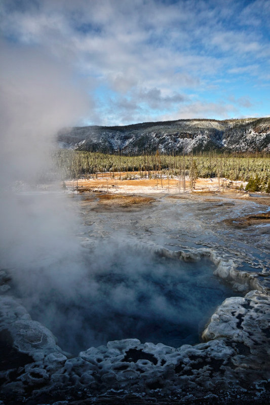 Artemisia Geyser 2