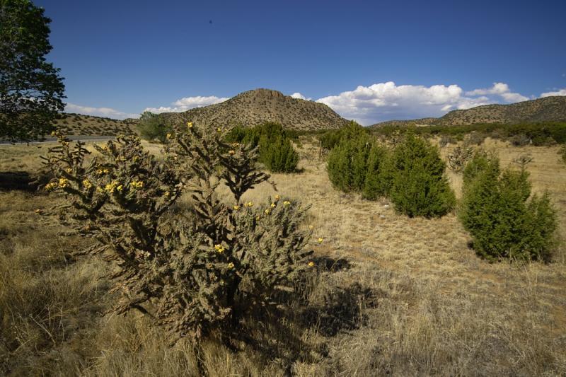 IMG00107.jpg