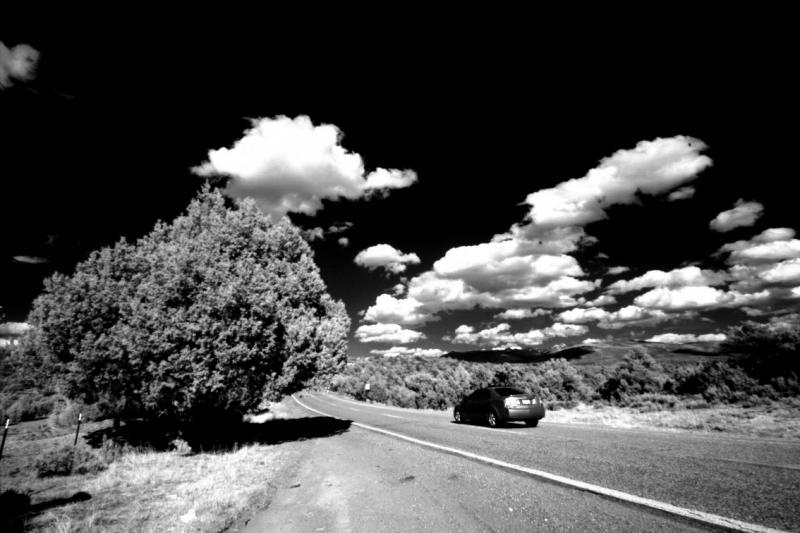 IMG00071-3ir.jpg