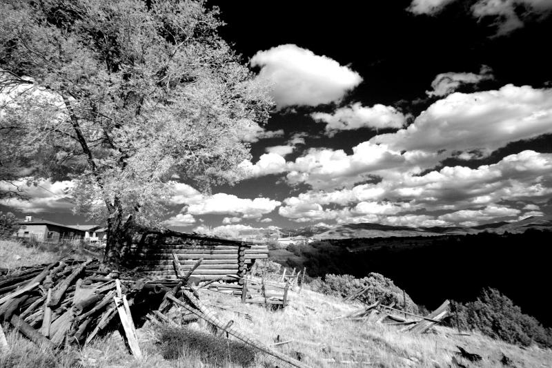 IMAGES05-IMG00050-web.jpg
