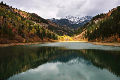 Idaho Fall Color