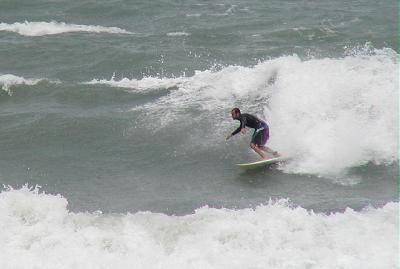 P4300053 2.JPG