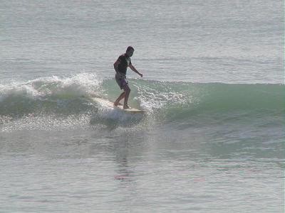 P6150015 2.JPG