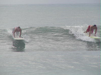 P6250034 2.JPG