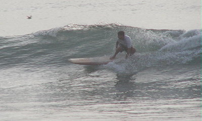 P7300047 2.JPG