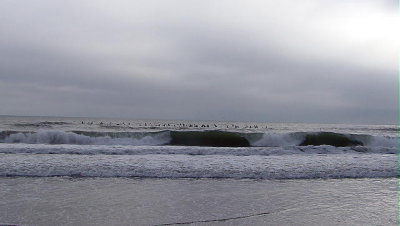 DSC07155 2.JPG