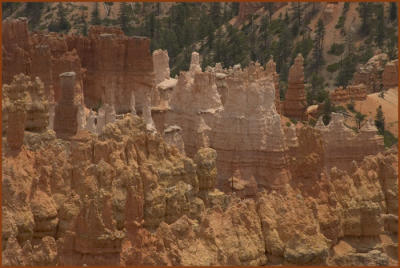Bryce Canyon #3