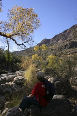 Pima Canyon Trail