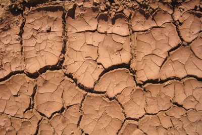 Well-developed mudcrack in Goldfield range