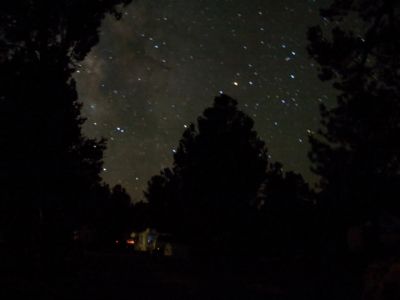 Scorpius framed by the trees in the campsite
