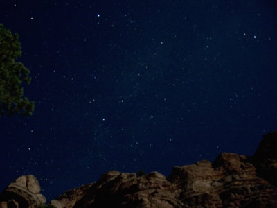 Cygnus the swan rising over the cliffs