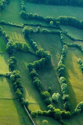 Bocage lotois