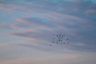 g4/14/311414/3/135769153.Cf5gcXiP.jpg
