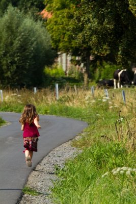 Sur les monts des Flandres