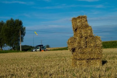 Autour de Bailleul