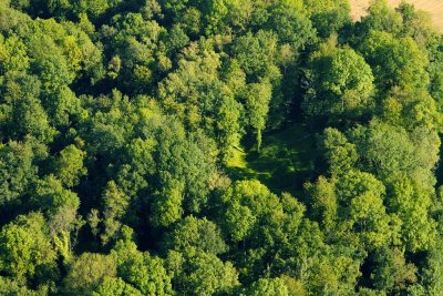 Le fort de la Malmaison...sous les arbres