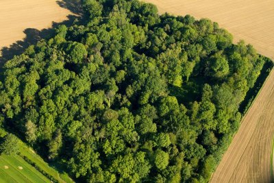 Le fort de la Malmaison...sous les arbres