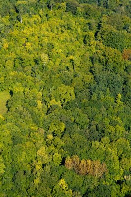 Au Chemin des Dames